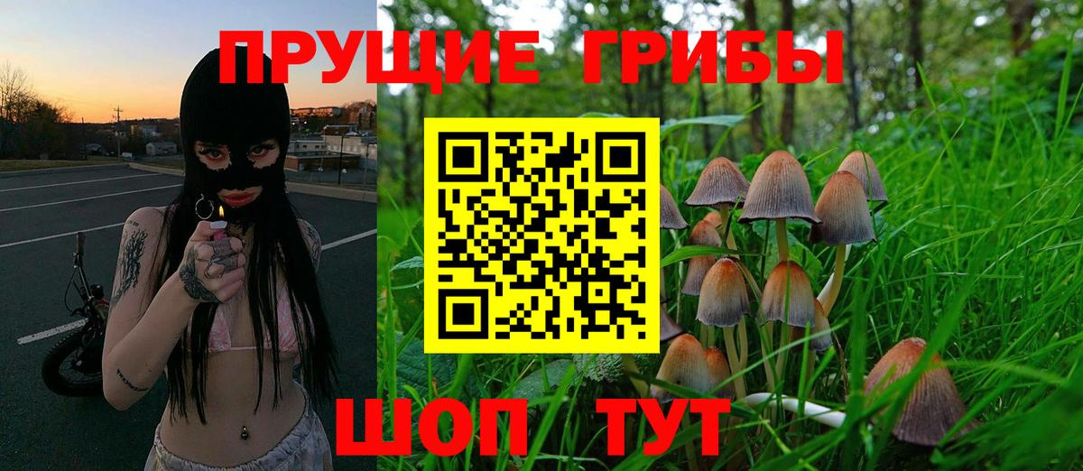 Галлюциногенные грибы Psilocybine cubensis  Галлюциногенные грибы Cubensis  Сегежа  Вход с VPN 